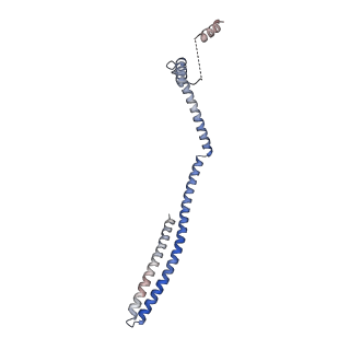 20588_6tz4_RB_v1-2
CryoEM reconstruction of membrane-bound ESCRT-III filament composed of CHMP1B+IST1 (right-handed)