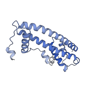 20588_6tz4_SA_v1-2
CryoEM reconstruction of membrane-bound ESCRT-III filament composed of CHMP1B+IST1 (right-handed)