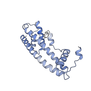 20588_6tz4_SB_v1-2
CryoEM reconstruction of membrane-bound ESCRT-III filament composed of CHMP1B+IST1 (right-handed)