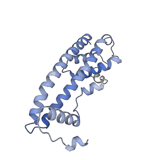 20588_6tz4_T_v1-1
CryoEM reconstruction of membrane-bound ESCRT-III filament composed of CHMP1B+IST1 (right-handed)
