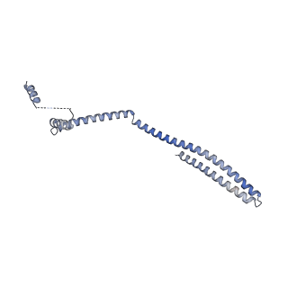 20588_6tz4_VA_v1-2
CryoEM reconstruction of membrane-bound ESCRT-III filament composed of CHMP1B+IST1 (right-handed)