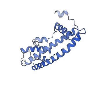 20588_6tz4_WA_v1-2
CryoEM reconstruction of membrane-bound ESCRT-III filament composed of CHMP1B+IST1 (right-handed)