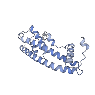 20588_6tz4_W_v1-2
CryoEM reconstruction of membrane-bound ESCRT-III filament composed of CHMP1B+IST1 (right-handed)