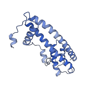 20588_6tz4_YA_v1-1
CryoEM reconstruction of membrane-bound ESCRT-III filament composed of CHMP1B+IST1 (right-handed)