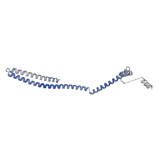 20588_6tz4_ZA_v1-2
CryoEM reconstruction of membrane-bound ESCRT-III filament composed of CHMP1B+IST1 (right-handed)