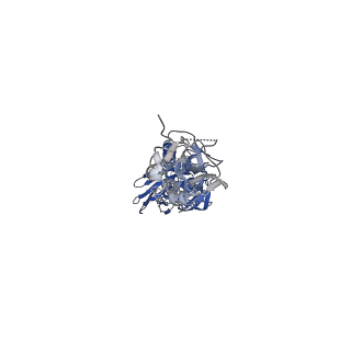 26202_7tz5_B_v1-3
Cryo-EM structure of antibody TJ5-5 bound to H3 COBRA TJ5 hemagglutinin
