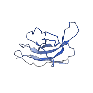 26202_7tz5_H_v1-3
Cryo-EM structure of antibody TJ5-5 bound to H3 COBRA TJ5 hemagglutinin