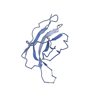 26202_7tz5_I_v1-3
Cryo-EM structure of antibody TJ5-5 bound to H3 COBRA TJ5 hemagglutinin