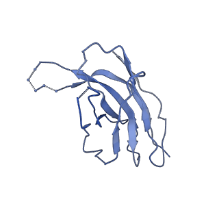 26202_7tz5_J_v1-3
Cryo-EM structure of antibody TJ5-5 bound to H3 COBRA TJ5 hemagglutinin