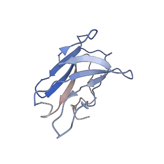 26202_7tz5_M_v1-3
Cryo-EM structure of antibody TJ5-5 bound to H3 COBRA TJ5 hemagglutinin