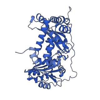 26203_7tz6_A_v1-1
Structure of mitochondrial bc1 in complex with ck-2-68