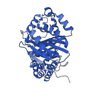 26203_7tz6_B_v1-1
Structure of mitochondrial bc1 in complex with ck-2-68