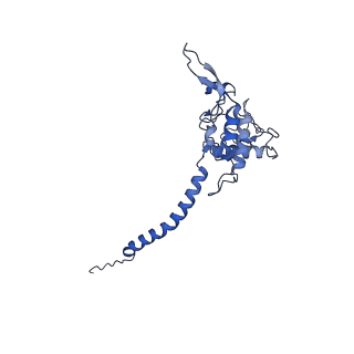26203_7tz6_D_v1-1
Structure of mitochondrial bc1 in complex with ck-2-68