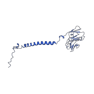 26203_7tz6_E_v1-1
Structure of mitochondrial bc1 in complex with ck-2-68