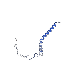 26203_7tz6_G_v1-1
Structure of mitochondrial bc1 in complex with ck-2-68