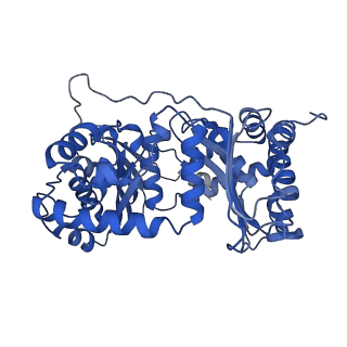 26203_7tz6_N_v1-1
Structure of mitochondrial bc1 in complex with ck-2-68