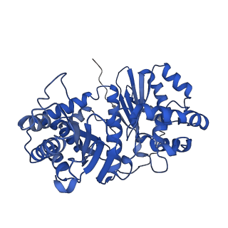 26203_7tz6_O_v1-1
Structure of mitochondrial bc1 in complex with ck-2-68