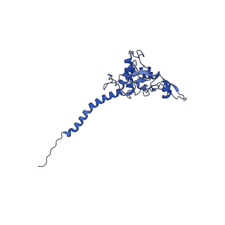 26203_7tz6_Q_v1-1
Structure of mitochondrial bc1 in complex with ck-2-68