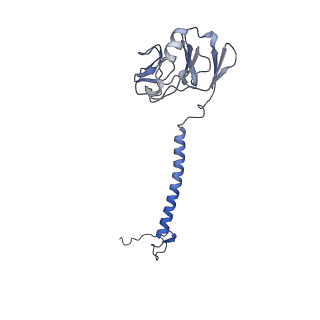 26203_7tz6_R_v1-1
Structure of mitochondrial bc1 in complex with ck-2-68