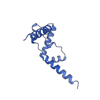 26203_7tz6_S_v1-1
Structure of mitochondrial bc1 in complex with ck-2-68