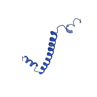 26203_7tz6_W_v1-1
Structure of mitochondrial bc1 in complex with ck-2-68