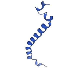 26203_7tz6_X_v1-1
Structure of mitochondrial bc1 in complex with ck-2-68