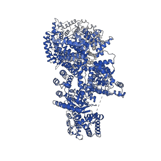 26213_7tzo_A_v1-0
The apo structure of human mTORC2 complex