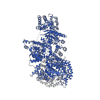 26213_7tzo_B_v1-0
The apo structure of human mTORC2 complex