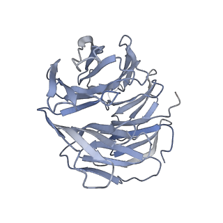 26213_7tzo_C_v1-0
The apo structure of human mTORC2 complex