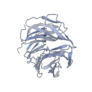 26213_7tzo_D_v1-0
The apo structure of human mTORC2 complex
