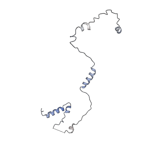 26213_7tzo_G_v1-0
The apo structure of human mTORC2 complex