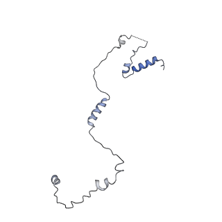 26213_7tzo_H_v1-0
The apo structure of human mTORC2 complex