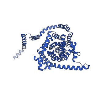 41730_8tz1_A_v1-0
Cryo-EM structure of bovine concentrative nucleoside transporter 3 in complex with Ribavirin