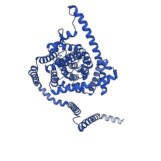41730_8tz1_B_v1-0
Cryo-EM structure of bovine concentrative nucleoside transporter 3 in complex with Ribavirin