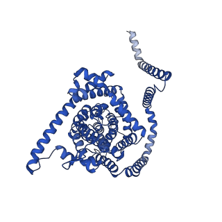 41730_8tz1_C_v1-0
Cryo-EM structure of bovine concentrative nucleoside transporter 3 in complex with Ribavirin