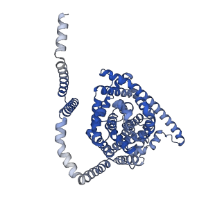 41731_8tz2_A_v1-0
Cryo-EM structure of bovine concentrative nucleoside transporter 3 in MSP2N2 nanodiscs, apo state