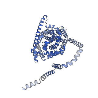 41731_8tz2_C_v1-0
Cryo-EM structure of bovine concentrative nucleoside transporter 3 in MSP2N2 nanodiscs, apo state