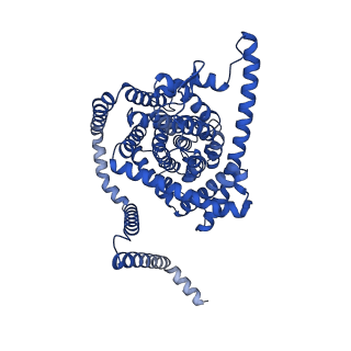 41733_8tz4_A_v1-0
Cryo-EM structure of bovine concentrative nucleoside transporter 3 in complex with GS-441524, subset reconstruction