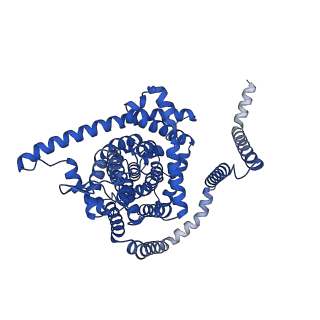 41733_8tz4_B_v1-0
Cryo-EM structure of bovine concentrative nucleoside transporter 3 in complex with GS-441524, subset reconstruction