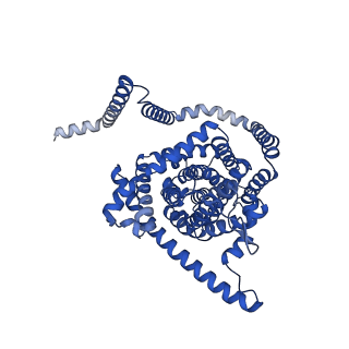 41733_8tz4_C_v1-0
Cryo-EM structure of bovine concentrative nucleoside transporter 3 in complex with GS-441524, subset reconstruction