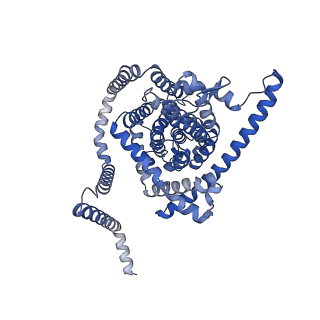 41735_8tz6_B_v1-0
Cryo-EM structure of bovine concentrative nucleoside transporter 3 in complex with PSI-6206