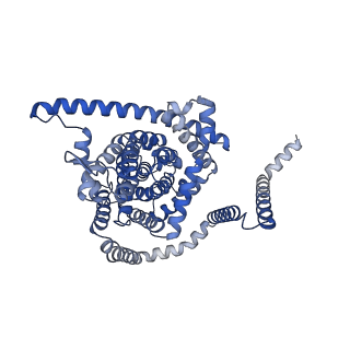 41735_8tz6_C_v1-0
Cryo-EM structure of bovine concentrative nucleoside transporter 3 in complex with PSI-6206