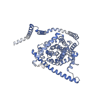 41736_8tz7_A_v1-0
Cryo-EM structure of bovine concentrative nucleoside transporter 3 in complex with Molnupiravir, condition 1, INT1-INT1-INT1 conformation