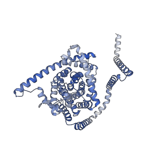 41736_8tz7_B_v1-0
Cryo-EM structure of bovine concentrative nucleoside transporter 3 in complex with Molnupiravir, condition 1, INT1-INT1-INT1 conformation