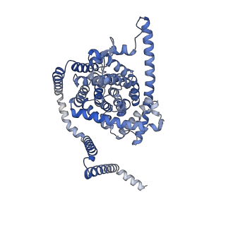 41736_8tz7_C_v1-0
Cryo-EM structure of bovine concentrative nucleoside transporter 3 in complex with Molnupiravir, condition 1, INT1-INT1-INT1 conformation