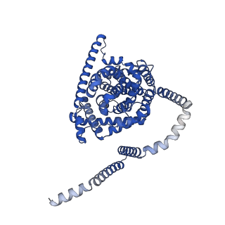 41737_8tz8_A_v1-0
Cryo-EM structure of bovine concentrative nucleoside transporter 3 in complex with Molnupiravir, condition 1, INT1-INT1-INT3 conformation