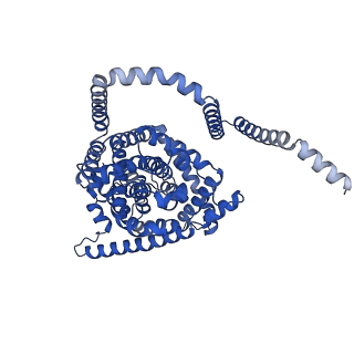 41737_8tz8_B_v1-0
Cryo-EM structure of bovine concentrative nucleoside transporter 3 in complex with Molnupiravir, condition 1, INT1-INT1-INT3 conformation