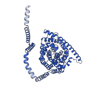 41737_8tz8_C_v1-0
Cryo-EM structure of bovine concentrative nucleoside transporter 3 in complex with Molnupiravir, condition 1, INT1-INT1-INT3 conformation