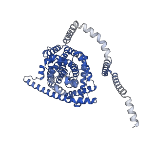 41738_8tz9_A_v1-0
Cryo-EM structure of bovine concentrative nucleoside transporter 3 in complex with Molnupiravir, condition 2, INT2-INT2-INT2 conformation