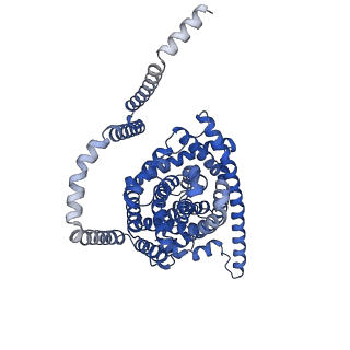 41738_8tz9_B_v1-0
Cryo-EM structure of bovine concentrative nucleoside transporter 3 in complex with Molnupiravir, condition 2, INT2-INT2-INT2 conformation